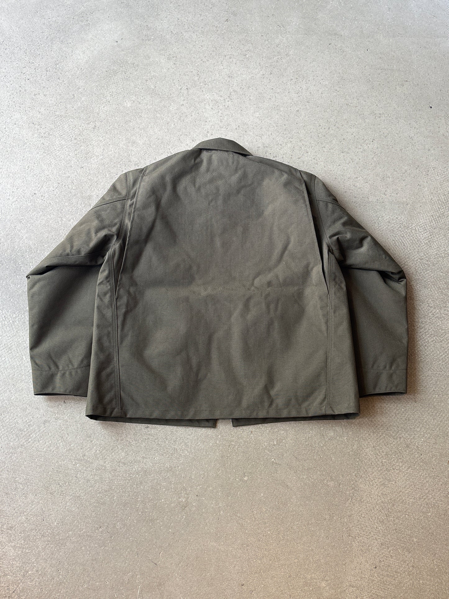 Palace Carhartt WIP Chore Coat Plant
