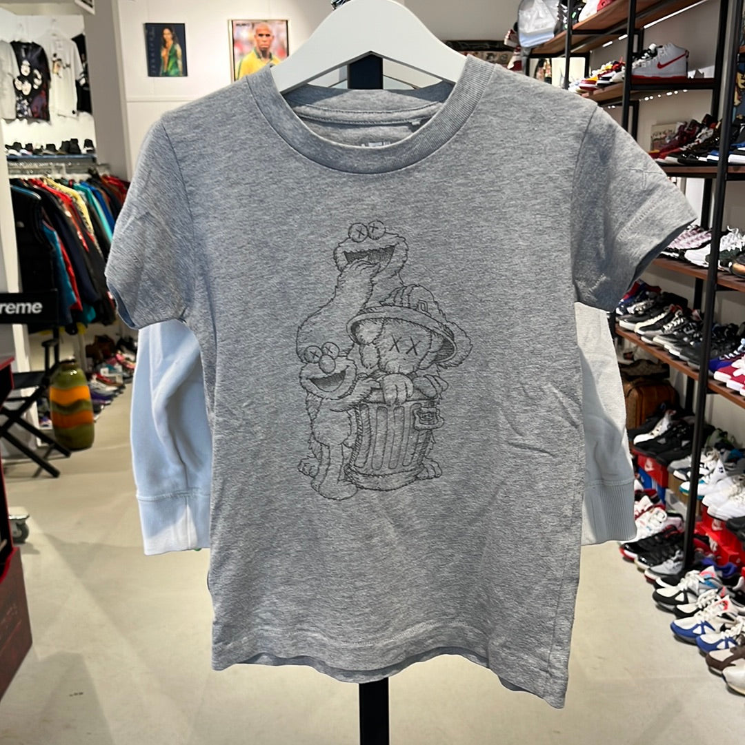 Grey best sale kaws shirt