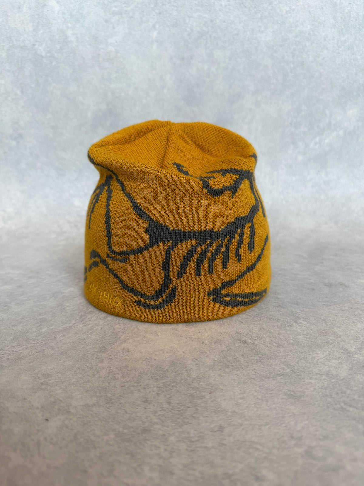 Arc'teryx Bird Head Toque Beanie