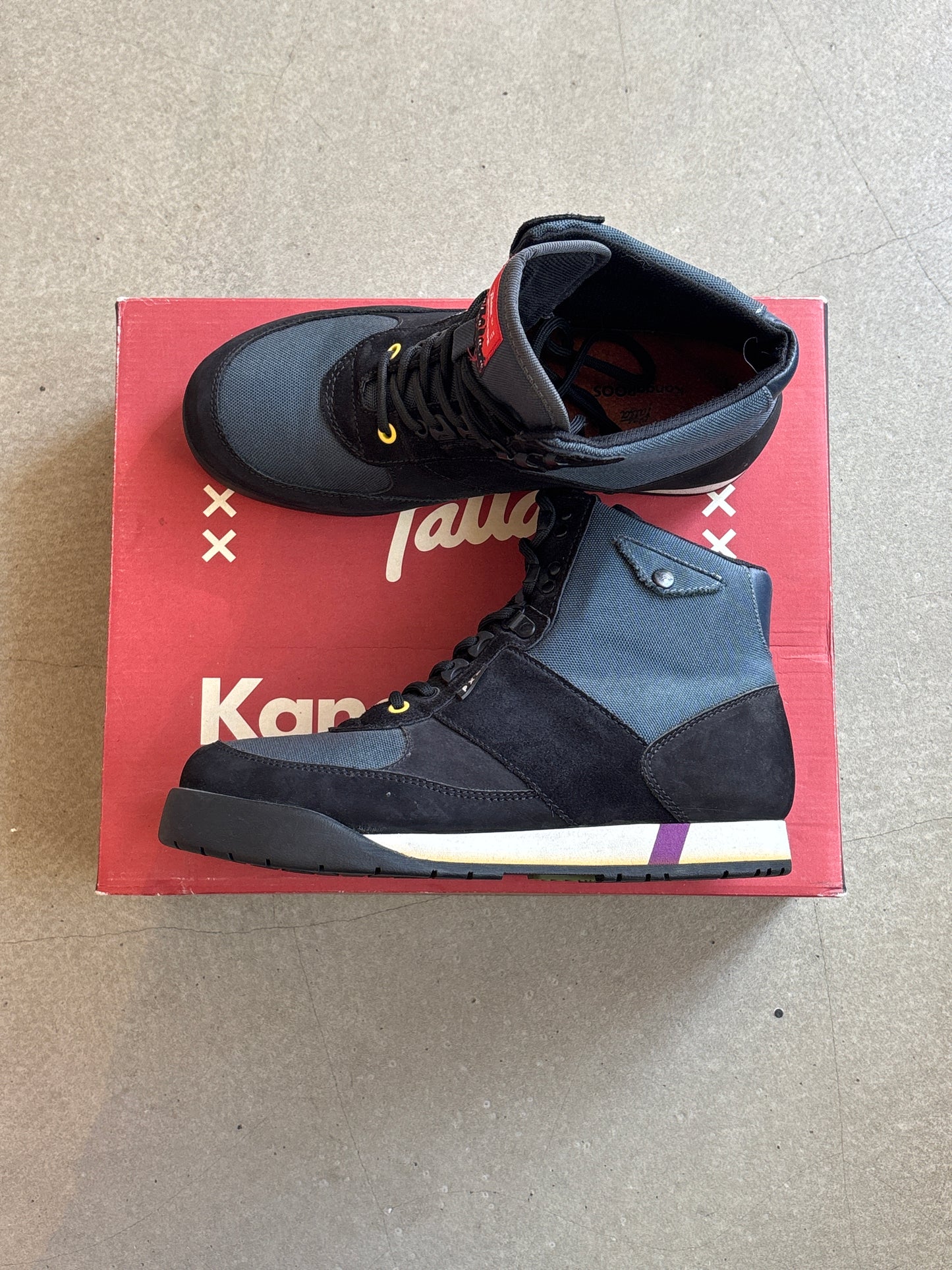 Kangaroos X Patta Blue EU 43
