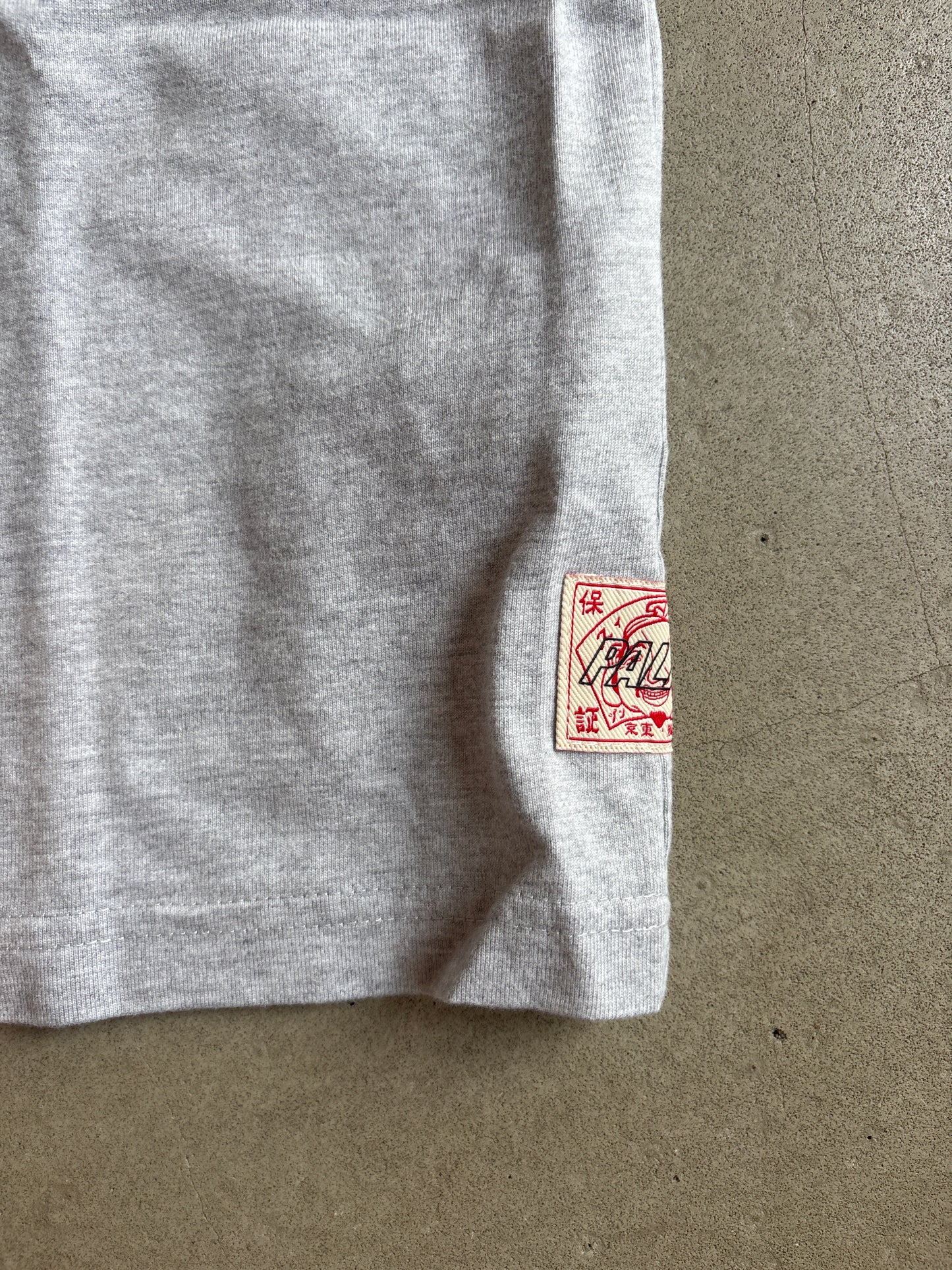 Palace x Evisu Seagull Raglan T-shirt Grey Marl