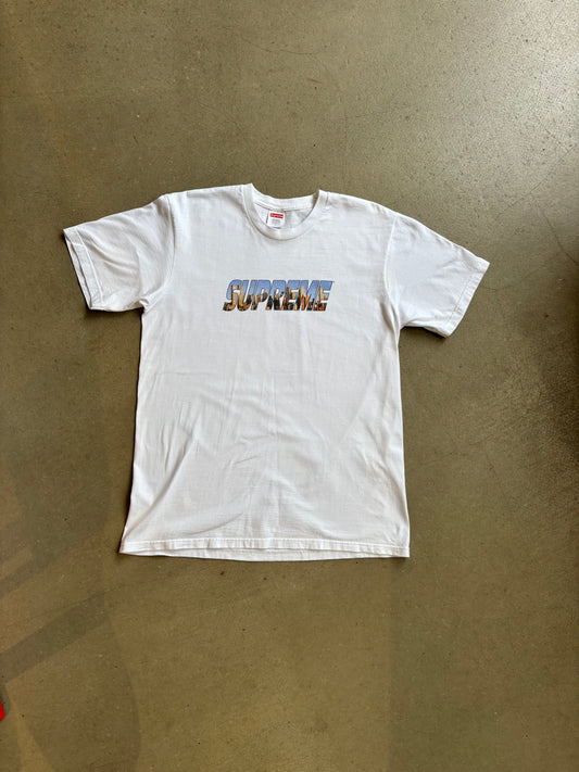 Supreme Gotham L