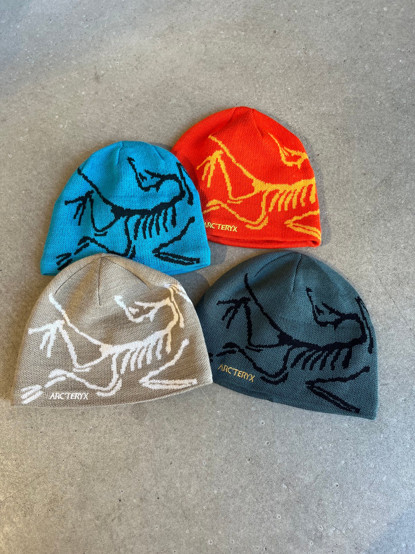 Arc'Teryx Beanie Bird Head Logo