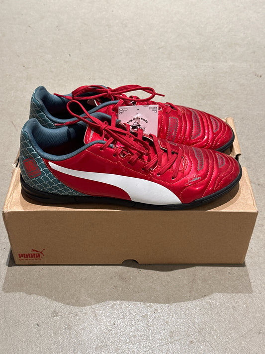 Puma evoPower Graphic TT 45