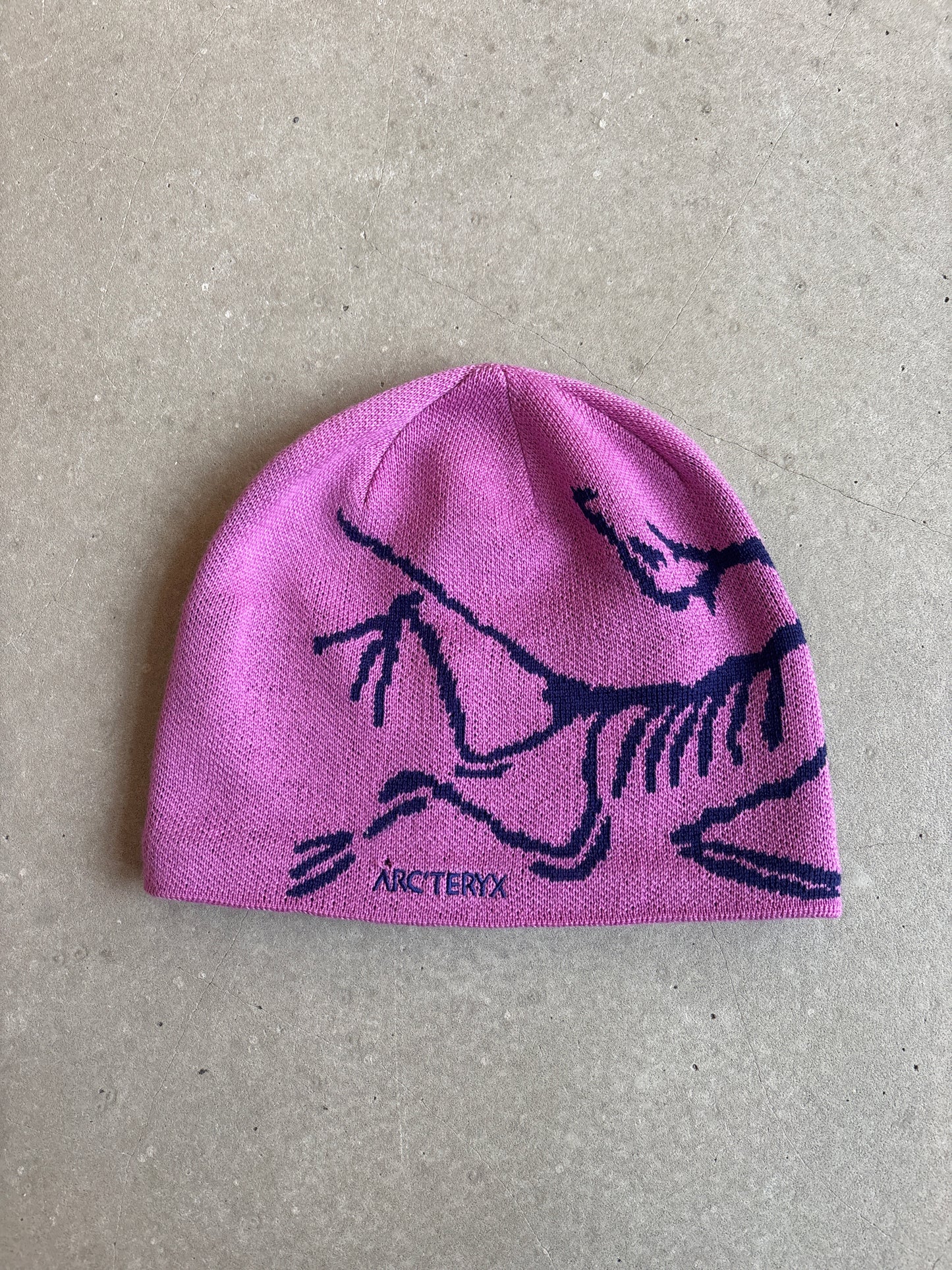 Arc'teryx Bird Head Toque Beanie