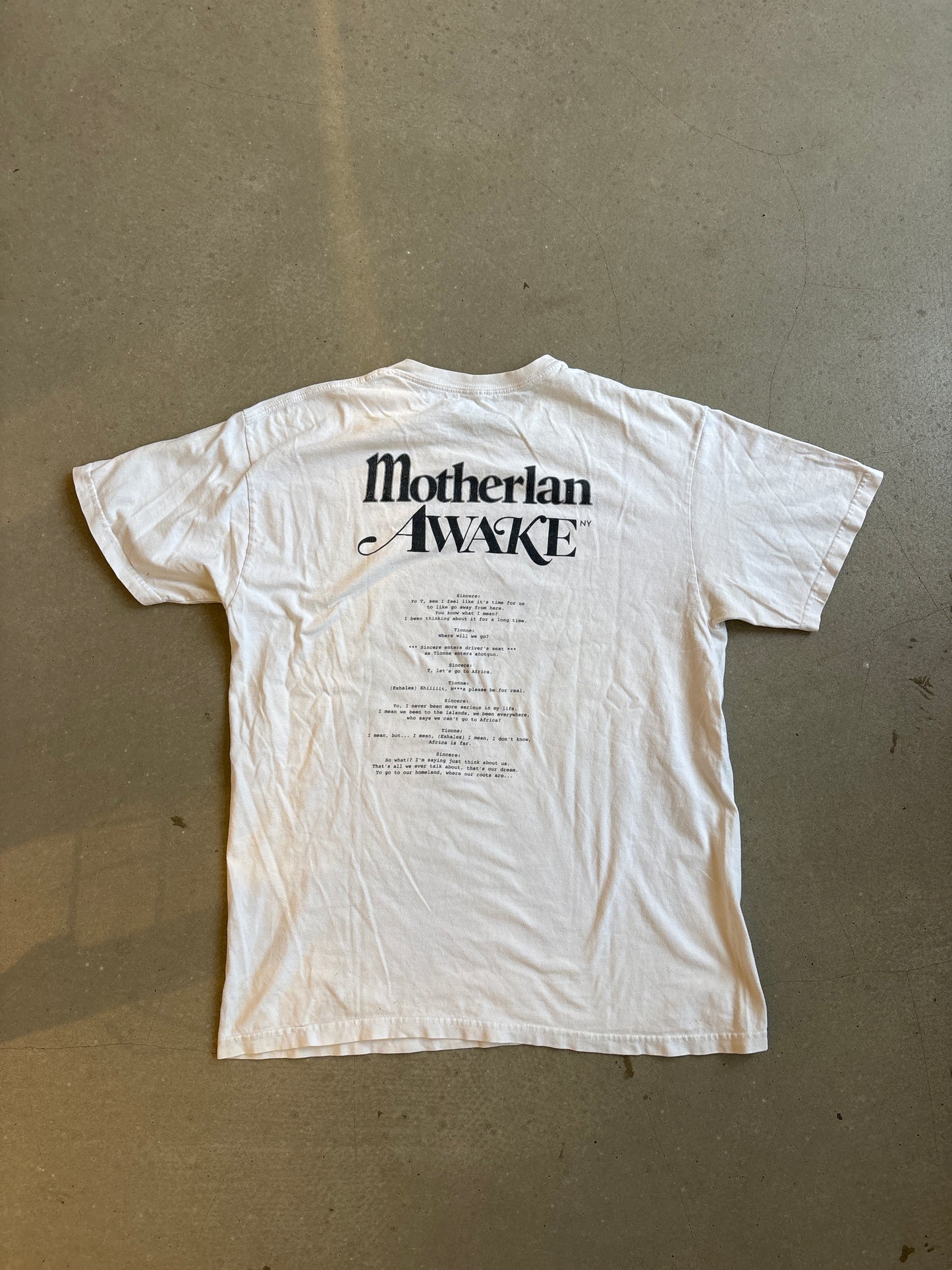 Awake NY X Motherlan Photo Tee White Large