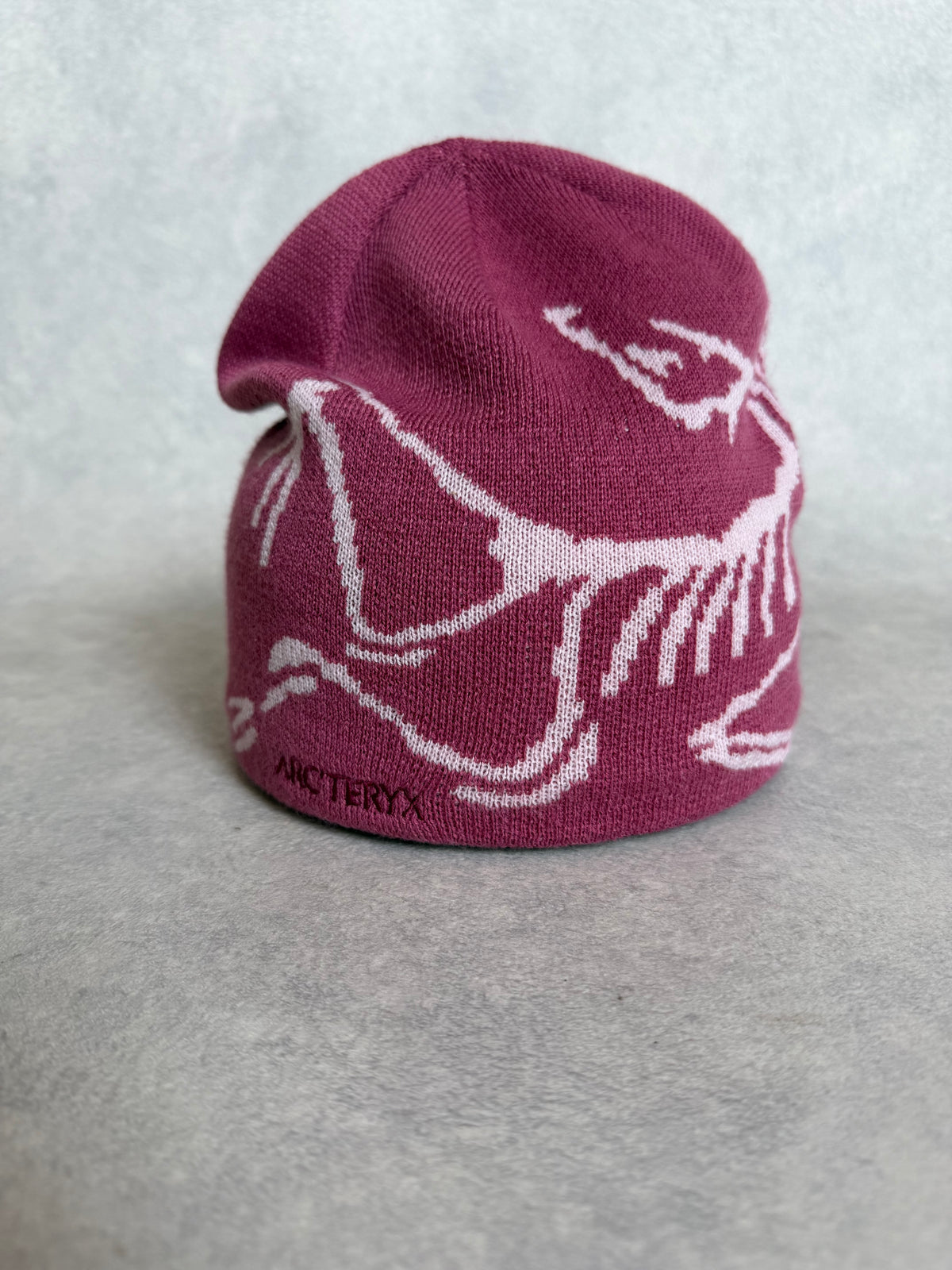 Arc'teryx Bird Head Toque Beanie