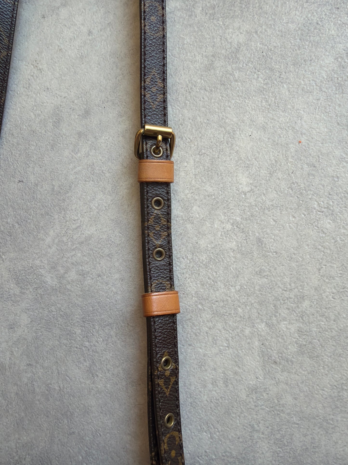 Louis Vuitton Danube Bag 2004