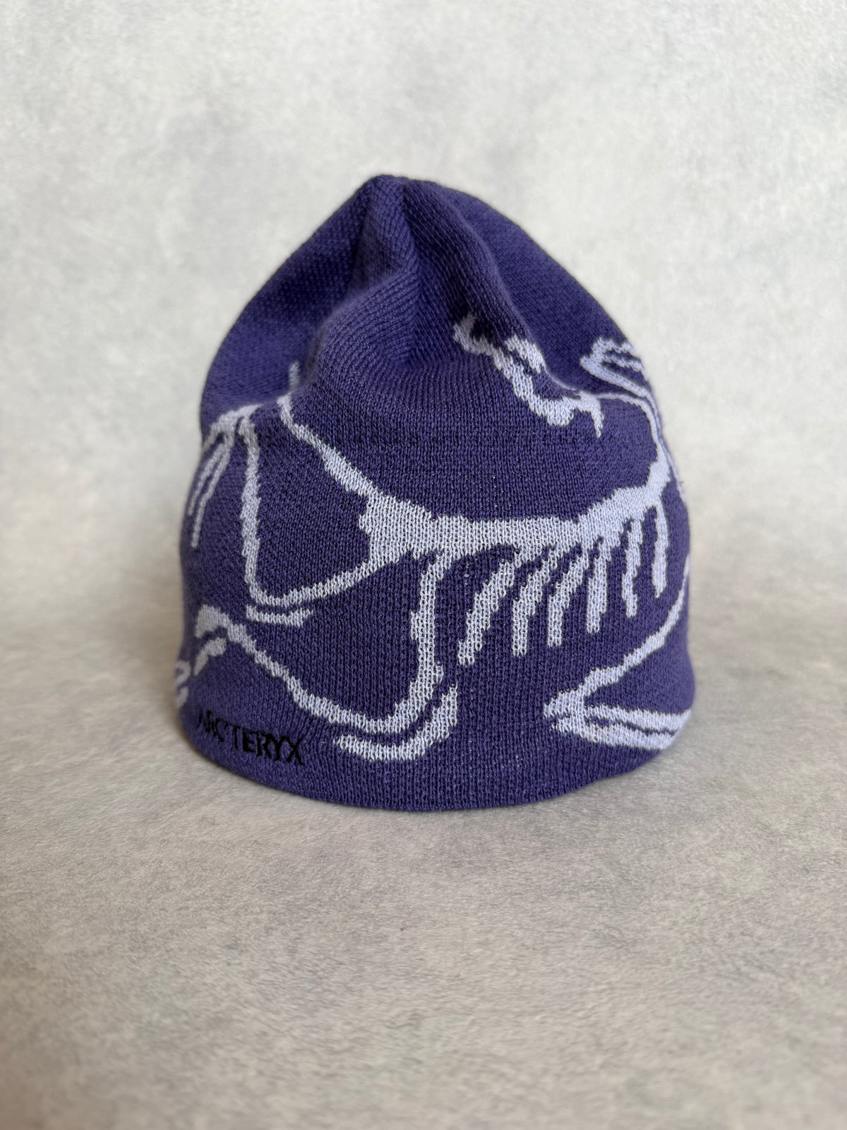 Arc'teryx Bird Head Toque Beanie