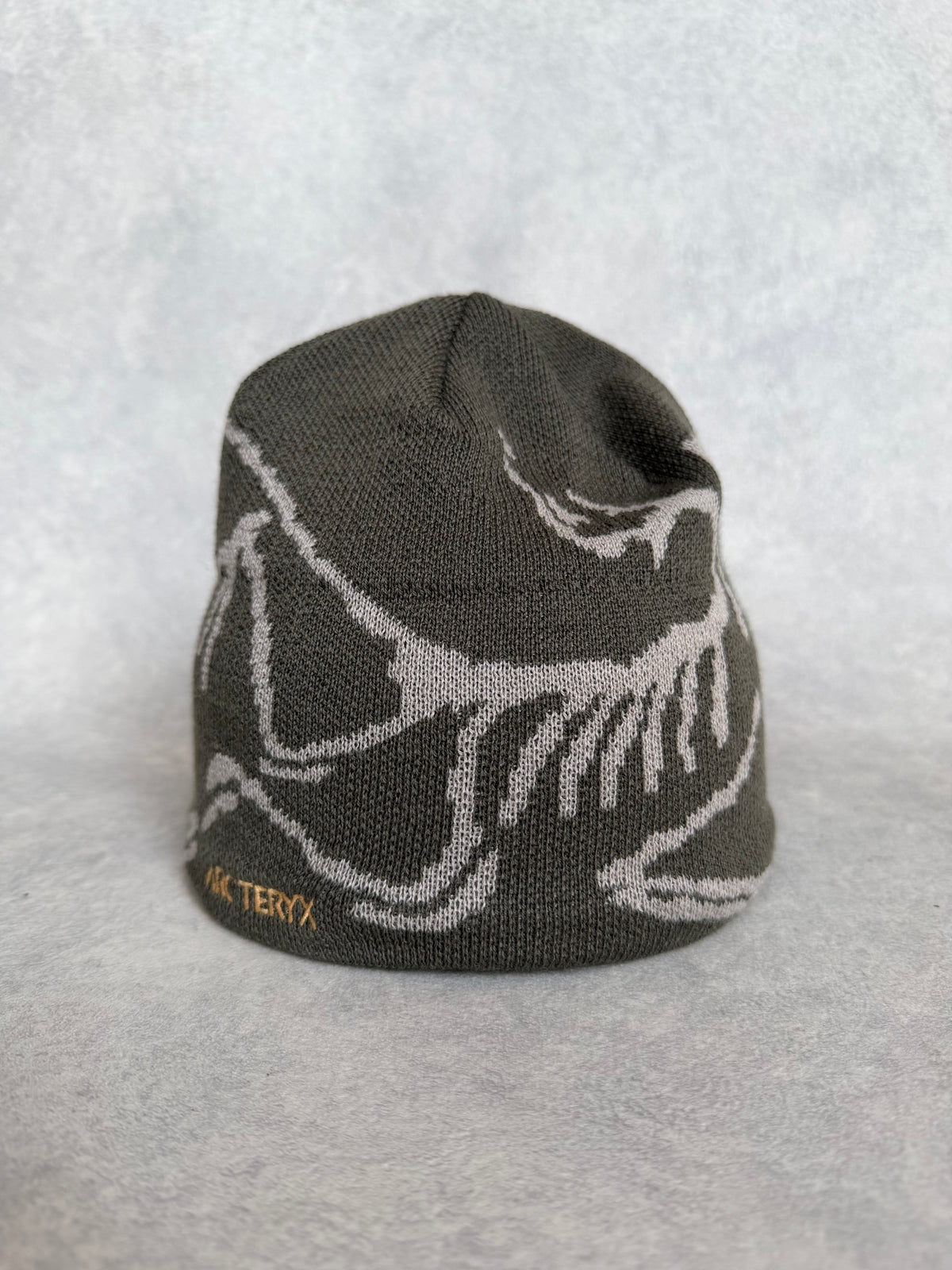 Arc'teryx Bird Head Toque Beanie