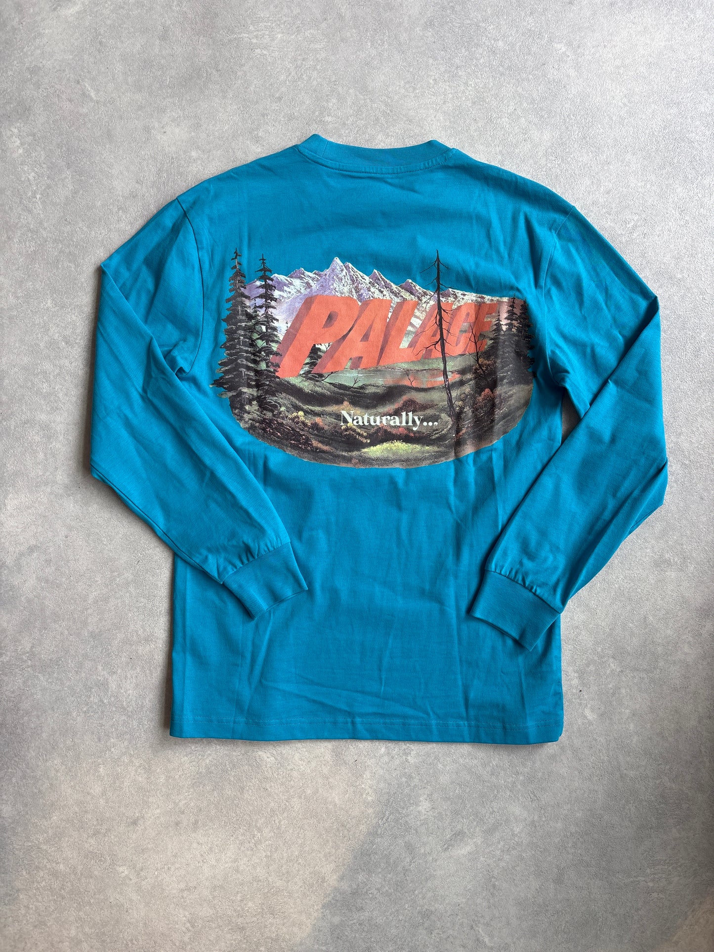 Palace Chapping Long Sleeve S